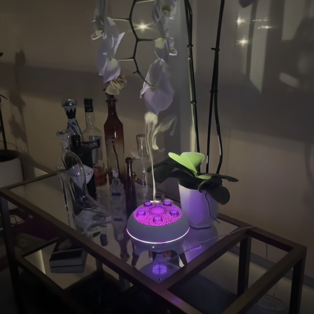 JellyGlow™ Official